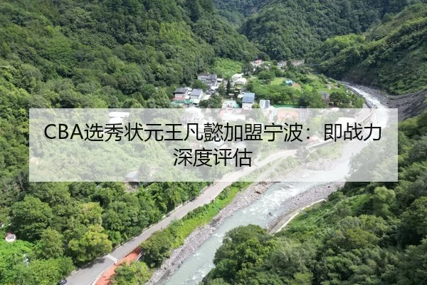 CBA选秀状元王凡懿加盟宁波：即战力深度评估
