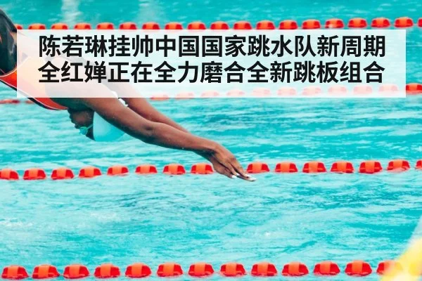 陈若琳挂帅中国国家跳水队新周期 全红婵正在全力磨合全新跳板组合