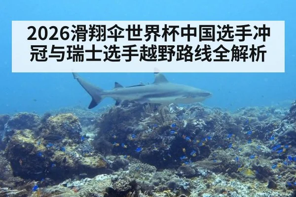 2026滑翔伞世界杯中国选手冲冠与瑞士选手越野路线全解析